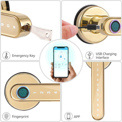 Bluetooth Biometric fingerprint lock Key Gold color TTlock